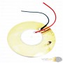 aafaqasia 2x Piezoelectric Piezo Dia 50mm Ceramic Wafer Plate 2x Piezoelectric Piezo Dia 50mm Ceramic Wafer Plate